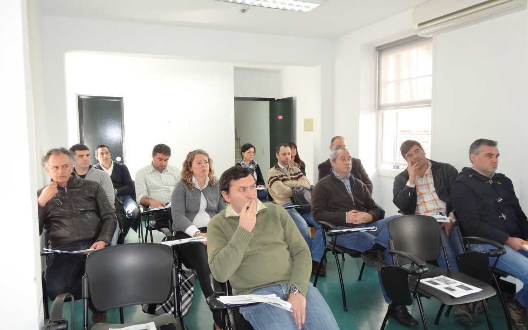 ANMP, em colaboração com a AMRAM, promove ação formativa sobre as alterações ao zonamento e coeficientes de localização para cálculo do valor patrimonial tributário (código do IMI)