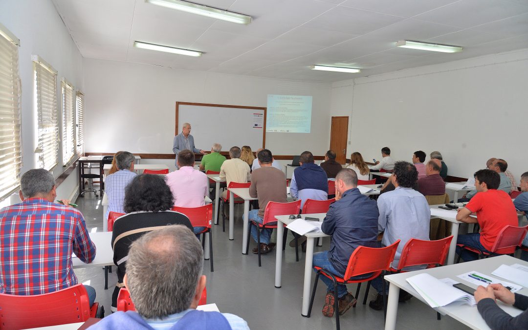 Formação “Os procedimentos de Fiscalização Municipal”