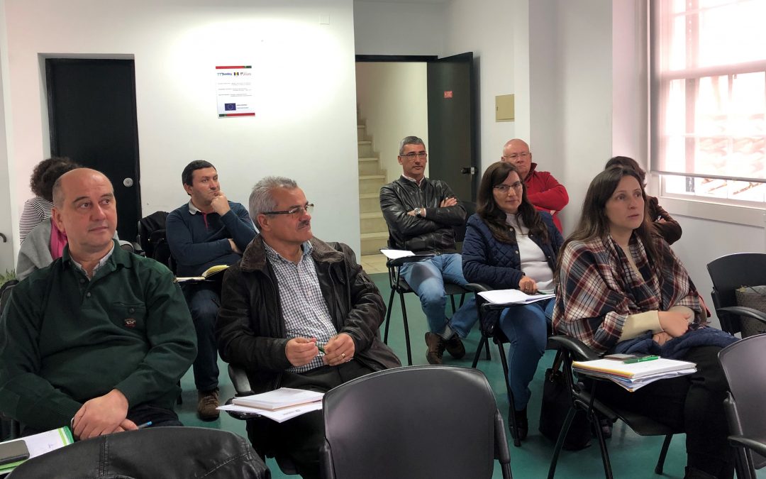 Formação: “Liderar e chefiar com inteligência emocional”